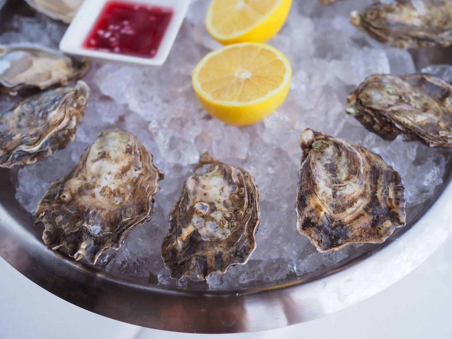 Fresh Oysters